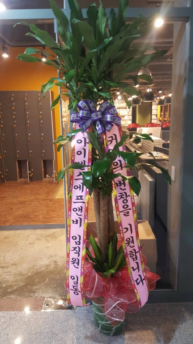 b814861ffe6606f97c04cf7ca7de0400_1482476