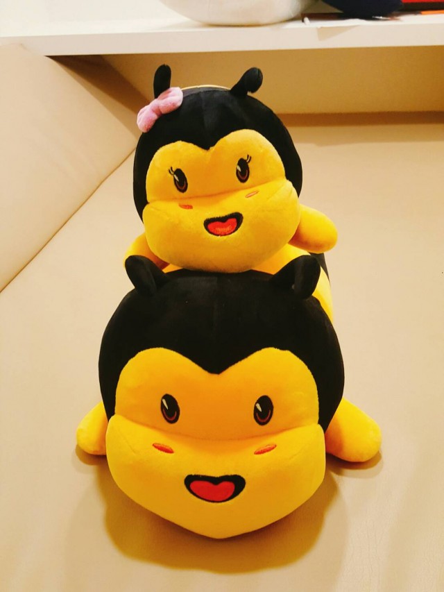 ee0fea6c1d3b8a42212c06bf739d20dc_1484023