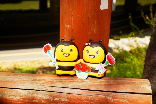 0f3e3660ab37074611358d264f1aab4e_1494204