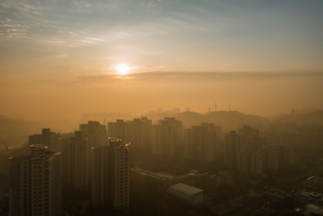 d61c851606be1e2445ed31a418c59393_1521772