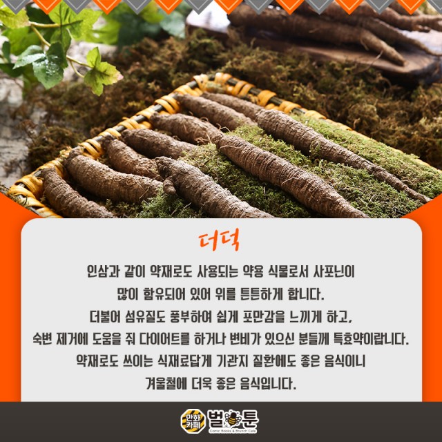 24982caba6e8a94dd1630795df017d56_1550206