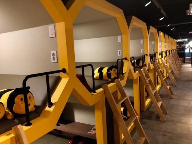 1d19477b4479119abb2aabba1ebd5d56_1543804